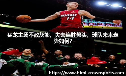 猛龙主场不敌灰熊，失去连胜势头，球队未来走势如何？
